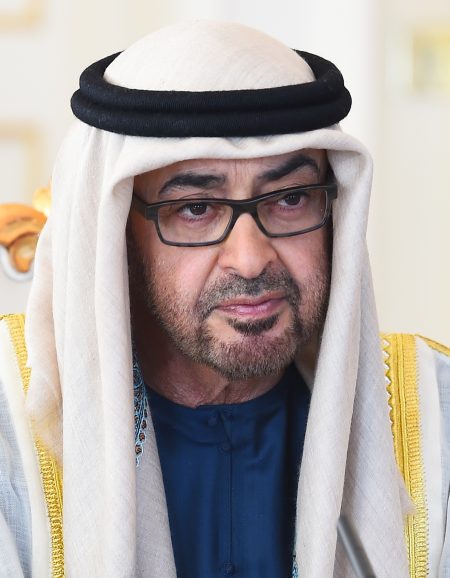 محمد بن زايد